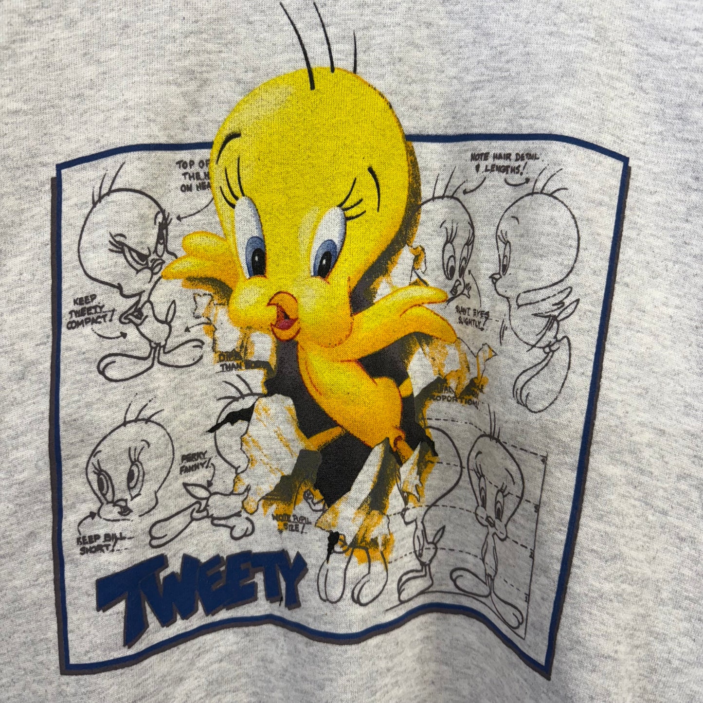 【新品未使用】90's USA製 ルーニーテューンズ トゥイーティー スウェットトレーナー
